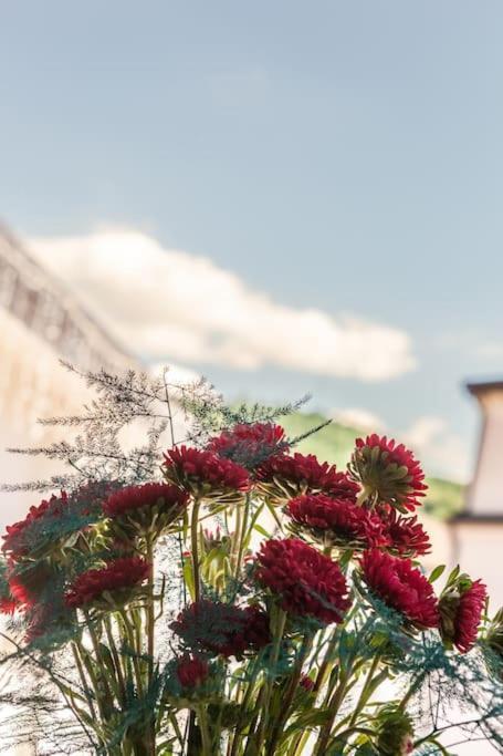 Appartamento - Cerenea House Isola di Liri エクステリア 写真